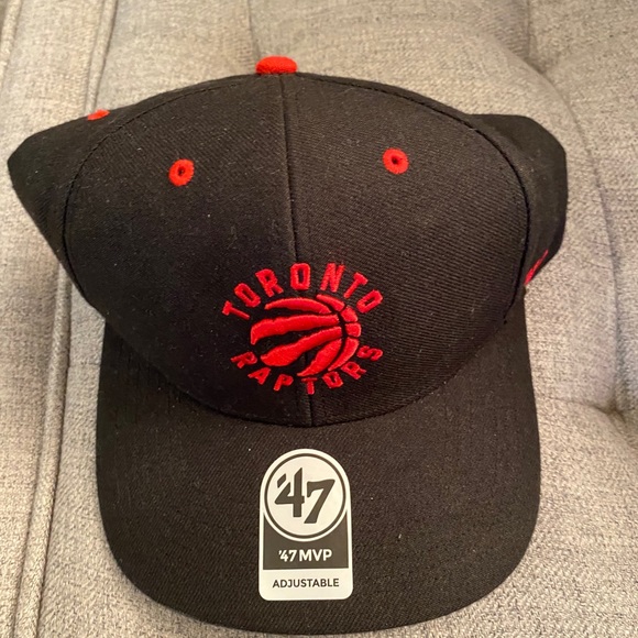 Toronto Raptors SnapBack